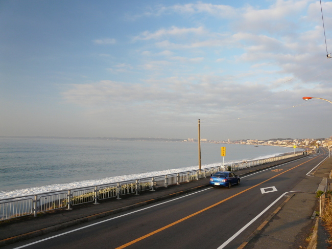 ２００８年３月１１日 三浦半島 河津桜とマグロドライブ ２